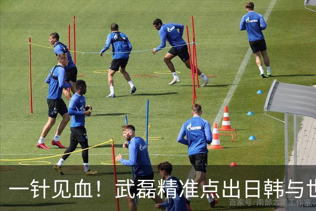 一针见血！武磊精准点出日韩与世界强队的核心差距，句句说到点上