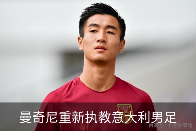 曼奇尼重新执教意大利男足