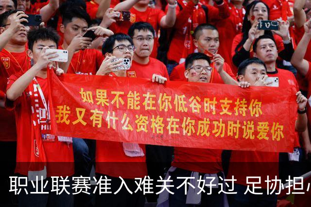 职业联赛准入难关不好过 足协担心并不是多余