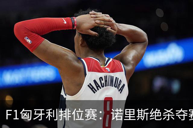 F1匈牙利排位赛：诺里斯绝杀夺赛季正赛首杆，汉密尔顿第二